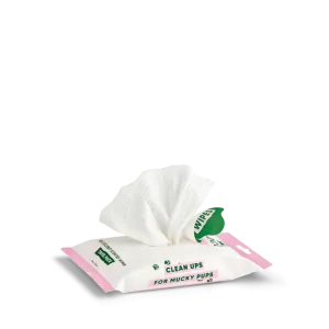 Bamboo Travel Wipes | Coconut Scented