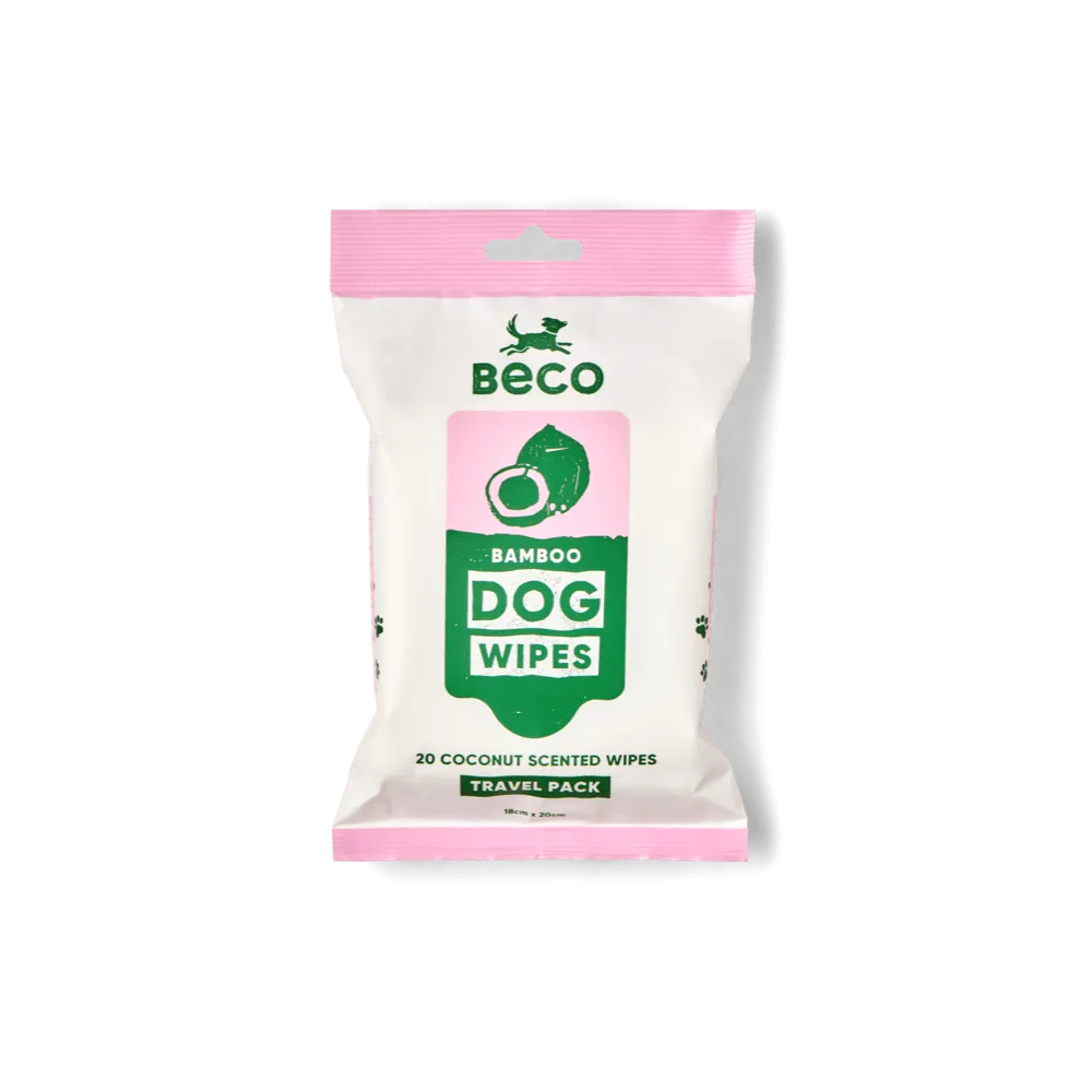 Bamboo Travel Wipes | Coconut Scented