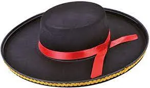 Spanish Felt Hat